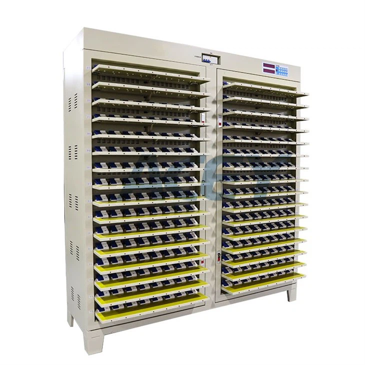 Battery Formation And Grading System